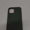 Cordking Designed for iPhone 12 Case, Designed for iPhone 12 Pro Case, Silicone Shockproof Phone Case with [Soft Anti-Scratch Microfiber Lining] 6.1 inch, Alpine Green