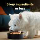 Cesar Simply Crafted Wet Dog Food Toppers for Dry Food, Chicken, Duck, Purple Potatoes, Pumpkin, Green Beans & Brown Rice, and Chicken, Carrots, Barley & Spinach Variety Pack, 1.3 oz Tubs, 8 Count (EXP 11/29/27)