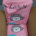 Lady N Granular Tofu Cat Litter Mini-Pellet Compatible with Automatic Self Cleaning Cat Litter Box, Strong Clumping, Low Dust, Activated Charcoal Odor Control 18lb