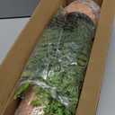 2 Pack Artificial Fern Plants in Pots Artificial Boston Ferns Potted Plants Faux Fern Bush Plant Shrubs Greenery for Outdoor Indoor Porch Patio Farmhouse Garden Living Room Office Table Decor (Type 2)