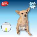 Simple Solution Disposable Male Wraps, Absorbent Leak Proof Belly Bands for Dogs, Incontinence Aid, Puppy Training, Marking Control, and Travel Protection, Medium Dogs, 15-23 Inch Waist, 30 Count