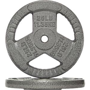 Fitvids Cast Iron 1-Inch Standard Weight Plate for Strength Training & Weightlifting, 25LBx 2