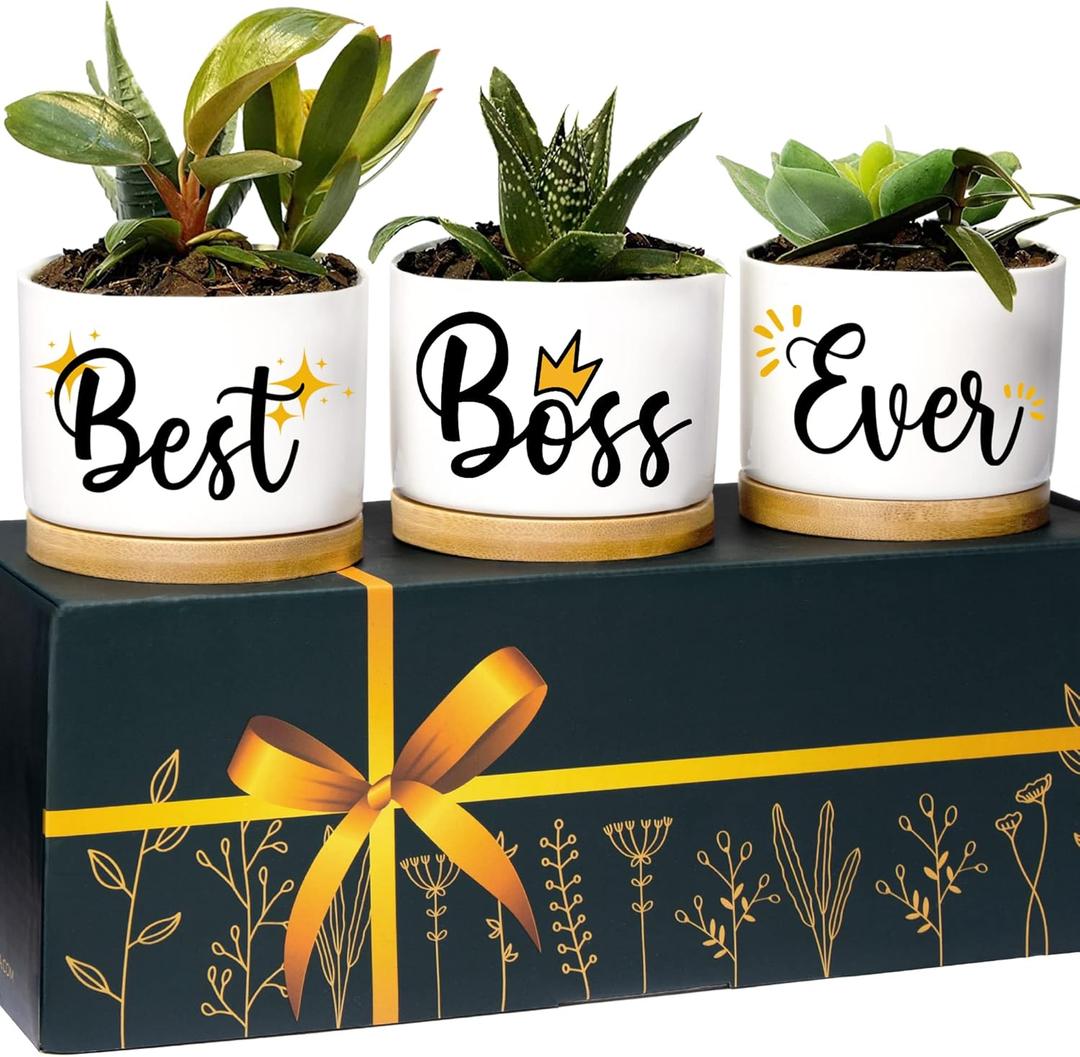 Rosa Vila Boss Planters, Best Boss Ever Gifts, Boss Lady Gift for Women, Cool Presents for Her, Appreciation Gift for Women, Ideal for Birthday, Ready