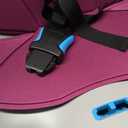 Thule Children's RideAlong Bike Seat, Purple, One Size