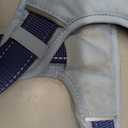 PetSafe Easy Walk Comfort No-Pull Dog Harness Full-Body Padding - Better Walks on the First Use - 5 Points of Adjustment Large, Blue