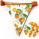 Citrus Orange Party Decorations Orange Plaid Floral Pennant Banner Flag Hanging Paper Triangle Bunting for Birthday Baby Shower Wedding Bridal Shower Engagement Bachelorette Party Decorations Supplies