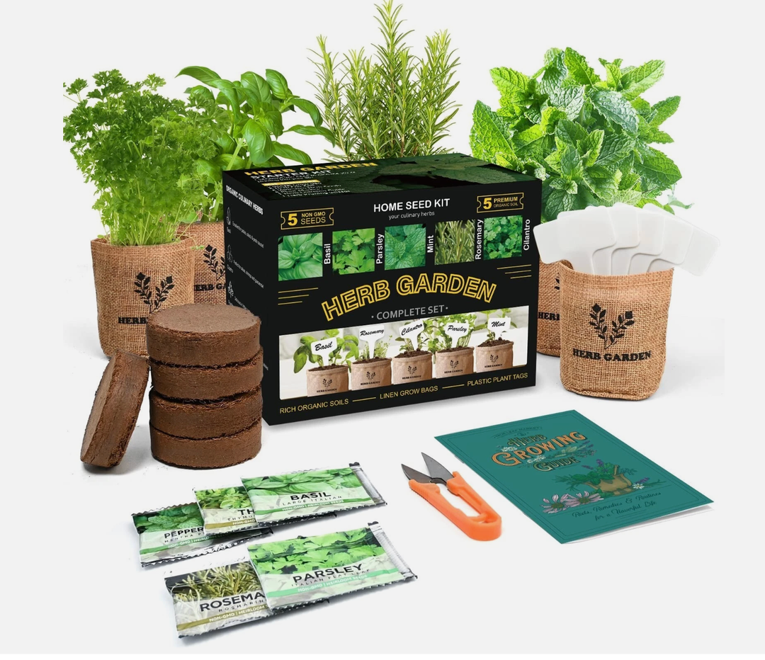 Indoor Herb Garden Starter Kit, 5 Non-GMO Herb Seeds - Basil, Parsley