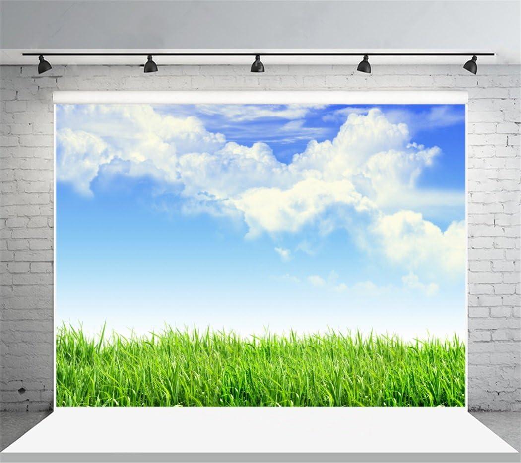 Leyiyi 6x4ft Spring Grassland Photography Background Gardening Plant Meadow Sky Cloud Light Spot North Prairie Backdrop Nature View Outdoor Activity Kids Birthday Photo Portrait Vinyl Studio Prop