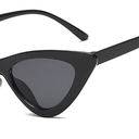 Retro Vintage Narrow Cat Eye Sunglasses for Women 90s Small Chic Style Trendy Sunnies UV400 Protection FZN7514