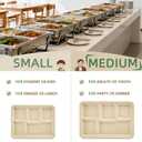 WELLIFE 100% Compostable 5 Compartment Paper Plates, 100 Pack Disposable School Lunch Trays Divided Plates for Adult Youth, 12.5 * 8.6 inch Heavy Duty Eco-Friendly Bagasse Plate for Buffet and Party