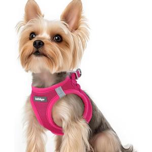 rabbitgoo Small Dog Harness, Step-in Soft Mesh Puppy Vest with Safety Buckle, Breathable Reflective Pet Harness for  Dogs, Rose Red XS 