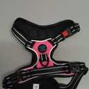 PHOEPET No Pull Dog Harnesses for Small Dogs Reflective Adjustable Front Clip Vest with Handle 2 Metal Rings 3 Buckles [Easy to Put on & Take Off](S, Pink)