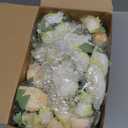 Jexine 12 Bundles Silk Artificial Peonies Flowers Faux Peony Bouquet Fake Peonies Artificial Flowers Bouquets for Vase Floral Arrangements Wedding Home Table Decoration (White,Champagne)