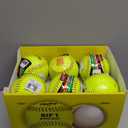 Rawlings | Official RIF 1 Sof-Dot Fastpitch Softball | 11" ASA | SR11RYSA, 1 Count, Multicolor