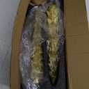 Creative Co-Op Unscented Tree Shaped Taper Candles, Gold, Boxed Set of 2 (10")