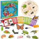 JoyCat Life Cycle Learning Education Toys, Insect Caterpillar to Butterfly kit, Ladybug, Bee, Tadpole to Frog Kit Life Cycle Toys for Kids, Preschool Learning Activities for Age 3 4 5 6 7 8