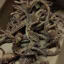 6 Inch Dinosaur Fossil Skeleton for 3 4 5 6 7 8 9 10+ Year Old, Dino Bones for Science Play Rewards, Dino Sand Dig Toys, Educational Gift, Party Favors for Kids (12 Packs)