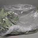 florisso Artificial Greenery Stems for Vase, 5 Pcs Tall Fake Plants Branches Faux Greenery Twigs Leaf for Indoor Home Office Vase Filler for centerpieces, Light Green