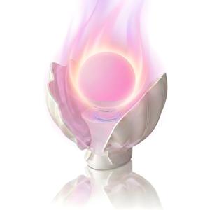 2 x Shell Bedside Table Lamp with Wireless Charger - Stepless Dimmable Nightstand Light for Bedroom & Dorm - Aesthetic Shell Mood Lamp, Decor Gift for Birthday, Valentine's Day