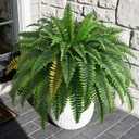 2PCS 45in Fake Ferns- Large Artificial Plants Outdoor, UV Resistant Artificial Ferns for Outdoors, 60 Branches Faux Boston Fern Realistic Weatherproof Fake Plants for Porch Home Patio Hanging Decor