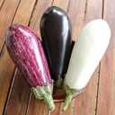 3 x Seeds Eggplant Long Mix- Heirloom Vegetable - GMO free