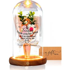 Sister Gifts-Bell Jar Night Lights with Warm Lights for Sisters,Unique Gifts for Sister Gift Ideas for Birthday Christmas Valentines Day Mothers Day,Fake Flower Glass Cloche Bell Jar with Wooden Base
