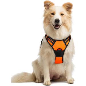 rabbitgoo Dog Harness No Pull with 2 Leash Clips, Adjustable Soft Padded, Reflective Oxford No Choke Pet Vest with Easy Control Handle for Medium Sized Dogs,Orange, M