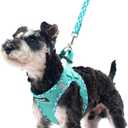 PUPTECK Dog Harness and Leash Set for Small Medium Dogs No Pull Step-in Soft Mesh Puppy Cat Vest Harnesses Reflective at Night, Green M (M(CHEST 16"-18", 11-18 lbs))