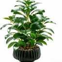 16" Artificial Peperomia Potted Plant in Black Ribbed Ceramic Planter Realistic Faux Green Leaves Tabletop Branches for Indoor Home Office Living Room Shelf Desk Decor, Plant C