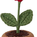 20 piece valentines Day gift