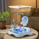 Betta Fish Tank Small Fish Aquarium, Complete Kit with Filter, Ideal for Home and Office Desk, Perfect for Goldfish and Decorative