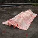 5.4ft Halloween Decorations Outdoor Props - Scary Hallowmas Back from The Grave Dead Victim Prop for Haunted House Party Decor(Assembly Needed) Red