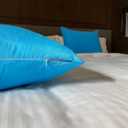 iMaylex Soft 100% Egyptian Cotton Zipper Closure Pillowcases, Cozy and Lightweight Pillow Case, Set of 2, Blue, King, 20" x 36"