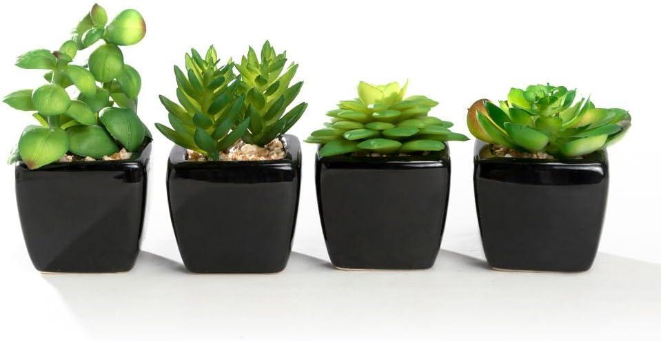 Nattol Modern Mini Artificial Succulent Plants Potted in Cube-Shape Black Ceramic Pots for Home Decor, Set of 4