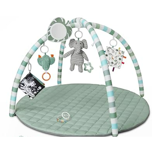 Blissful Diary Baby Play Gym Mat, Tummy Time Mat with 6 Detachable Toys for Stage-Based Sensory & Motor Skill Development, Baby Activity Mat Easy to Install & Clean, Baby Essentials Gift, Sage Green