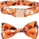 Halloween Dog Collar, Medium Dog Collar with Bow, Pumpkin Style for Girl Boy,Soft Adjustable Design for Small Medium DogsOrangeM