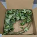 Green Plant Vine Wall Sticker - Evergreen Ivy Leaves for Bedroom & Living Room