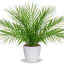 Briful Fake Plant 15 Artificial Palm Plant in White Pot Real Touch Faux Tropical Palm Tree Houseplant for Home Indoor Living Room Tabletop Balcony Decorations