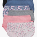 Hanes Women's Brief Panties Pack, Classic Cotton Brief Underwear, 6-pack (Tagless, Colors May Vary),Size 3XL