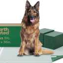 Earth Rated 3-in-1 Max Absorbency Puppy Pee Pads for Dogs, Odor Blocking, Leak Prevention Potty Training Pad, 3XL, 36 x 36 Inches, 25 Count
