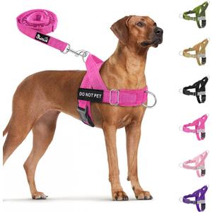 SlowTon No Pull Dog Harness - Heavy Duty Dog Harness and Leash Set for Medium Large Dogs, Reflective Tactical Harness with Soft Padded and Front Clip for Easy Walk and Training (Fuchsia L)
