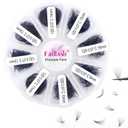 Volume Lash Extensions 1000pcs Premade Fans Eyelash Extensions Promades Eyelash Loose Fans Pointed Base 5D/8D/10D/12D/14D/16D 9-16mm/15-20mm Mixed Tray Avalible (12D-0.07C, 9-16mm)