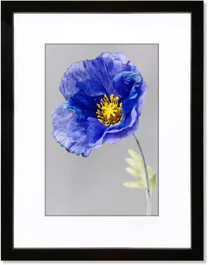 VNVNK 14x18 Frame Black, Perfect for 14x18 Inch Picture without Mat or 10x14 Inch Picture with Mat, Home Wall Decor Picture Frame-1 PCS