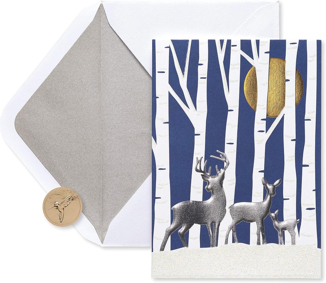 Papyrus Boxed Christmas Cards with Envelopes, Thinking of You with Warmest Wishes, Deer (12-Count)