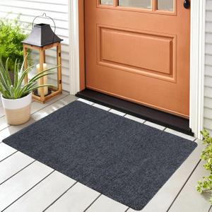 Doormats, Thin Indoor Door Mat 36''x 24'', Low Profile Non Slip Outdoor Doormats, Dirt Trapper and Absorbent, Welcome Matts for Muddy Wet Shoes and Paws