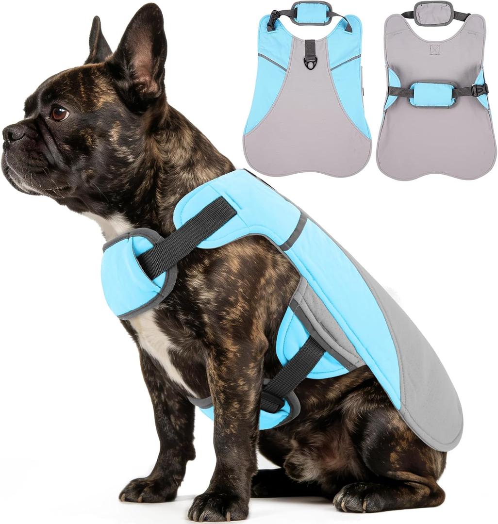 DENTRUN Dog Cooling Vest with Dual Absorbent Core & Reflective Safety | sun protection, adjustable fit, evaporative cooling, lightweight,  for all breeds, hiking summer essential, M
