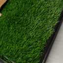 LOOBANI Dog Grass Pad with Tray - Dog Litter Box - Indoor Potty for Apartment and Patio Training - with 2 Packs Grass Pee Pads for Replacement, 2025 Inch