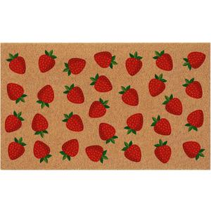 Haukea Cute Strawberry Door Mat Outdoor Aesthetic Welcome Mats for Front Door Cute Door Mat Outside Entrance Non Slip Door Mats for Outside Entry Porch Back Door Home Decor, Strawberry