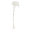 50pcs Dried Flower Bouquet Natural Dried Plant Decor for Home Wedding and Crafting Realistic Tail Grass Arrangement Easy Maintenance No Watering Needed