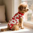 2-Pack Pet Post-Surgery Recovery Suit for Cats Dogs, Abdominal Wound Protector Anti-Licking, Soft Breathable Onesie with Adjustable Fit, Small Pets Universal Tee(Medium, Watermelon,Football)